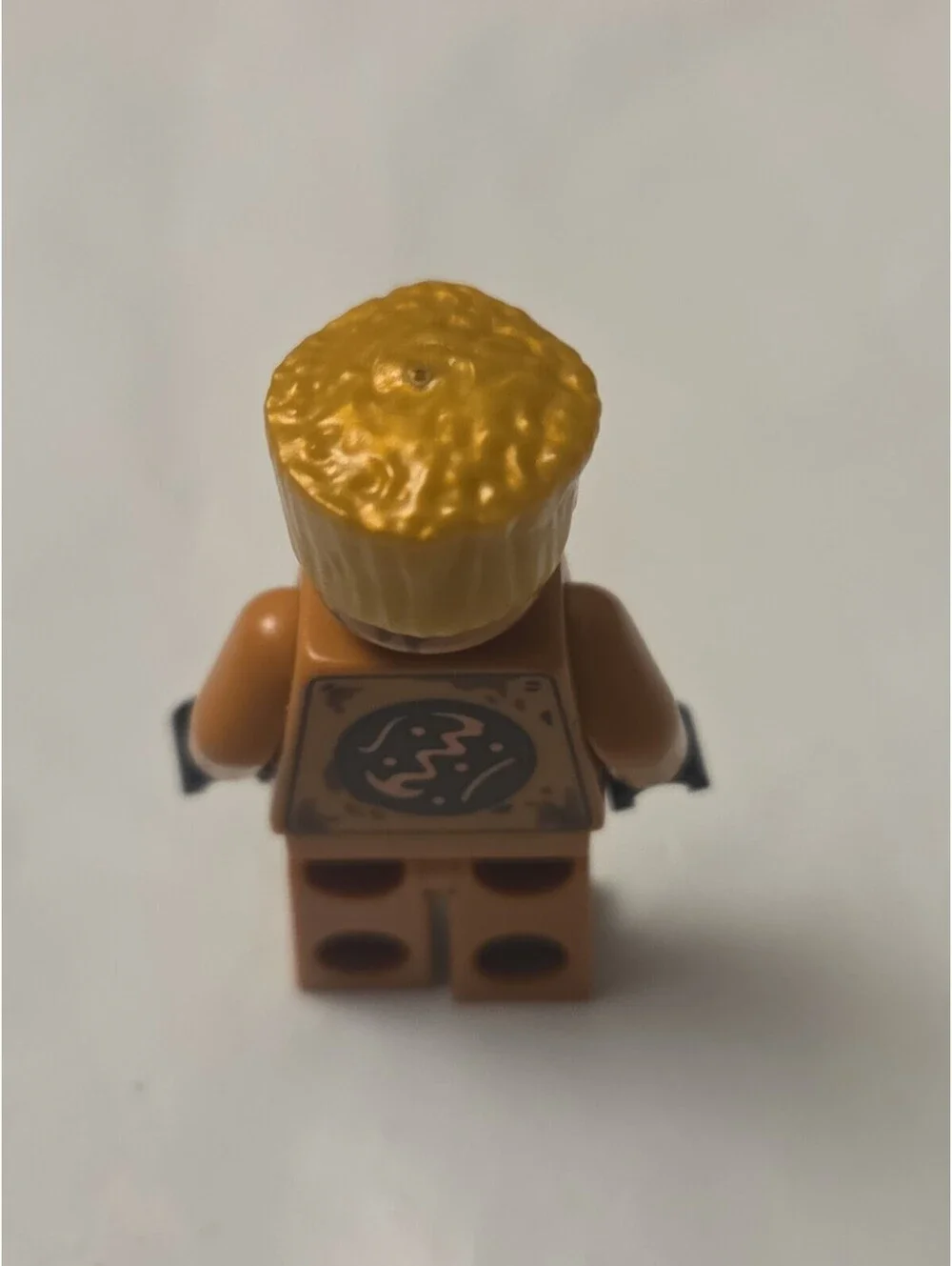 LEGO Ninjago zane echo